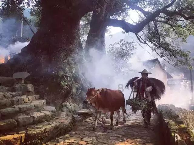 舰无虚发：暗星
